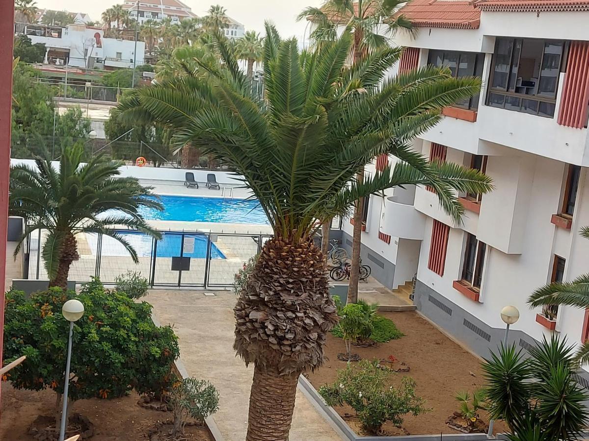 Paraiso Altemar, Duplex Las Americas Плая-де-лас-Америкас Экстерьер фото