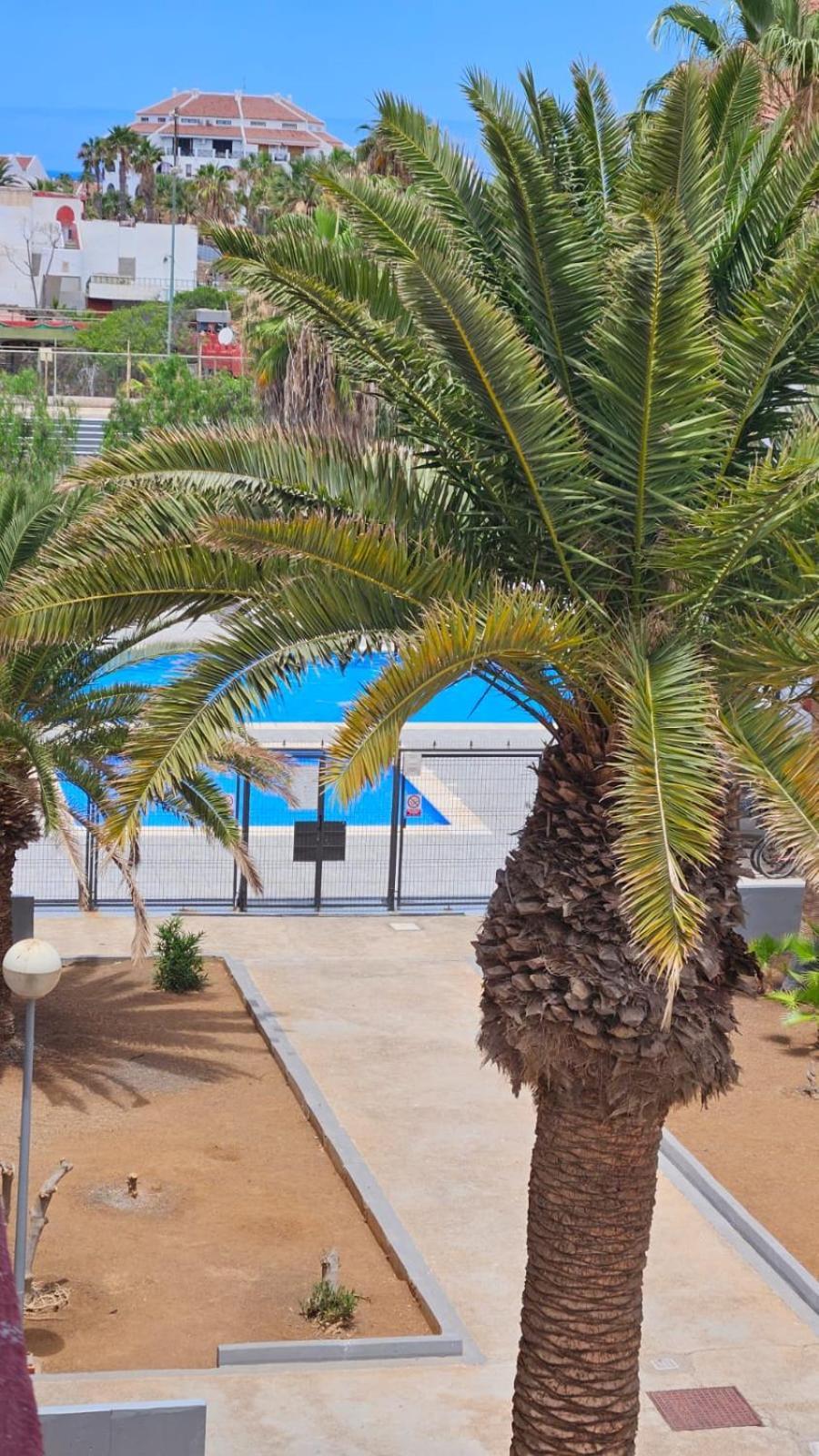 Paraiso Altemar, Duplex Las Americas Плая-де-лас-Америкас Экстерьер фото